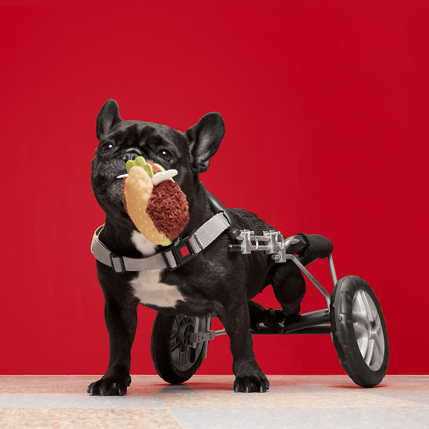 Carousel zoom image position 2 of 3