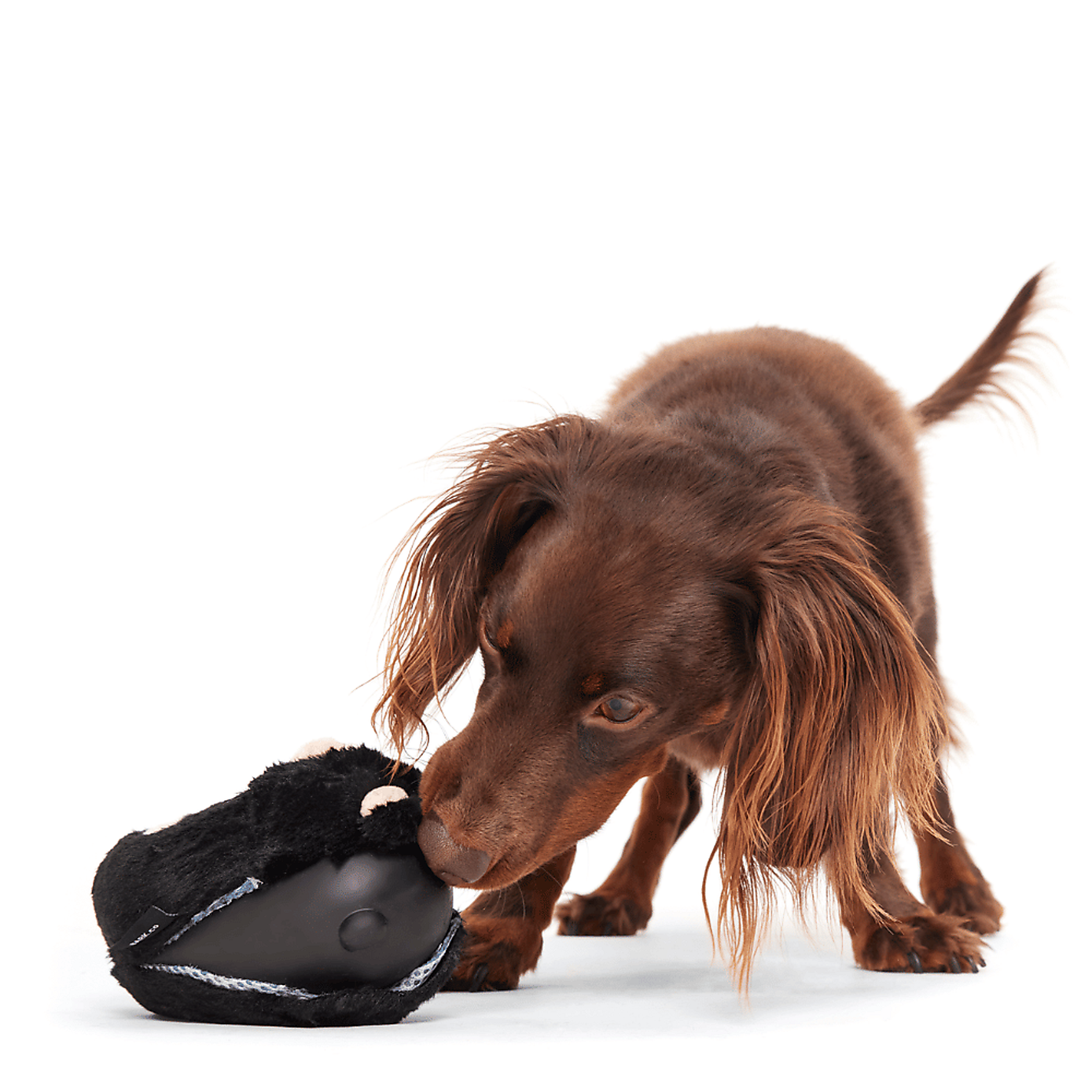 Carousel zoom image position 2 of 3