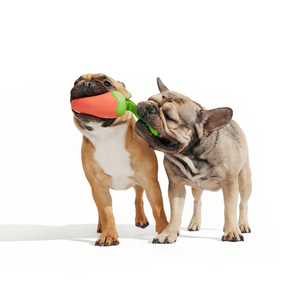 Carousel navigation image position 2 of 3