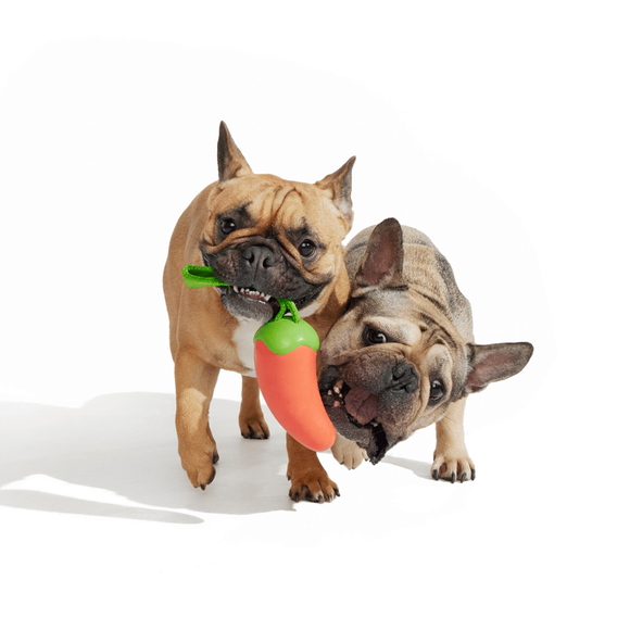 Carousel navigation image position 3 of 3