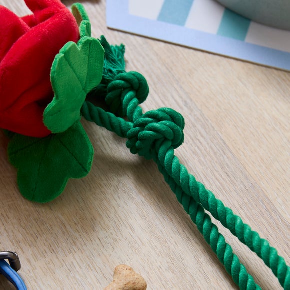 Carousel navigation image position 2 of 3