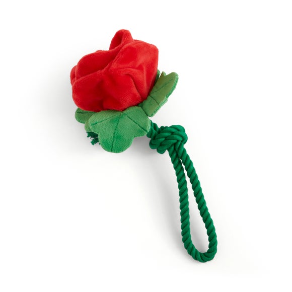 Carousel navigation image position 3 of 3