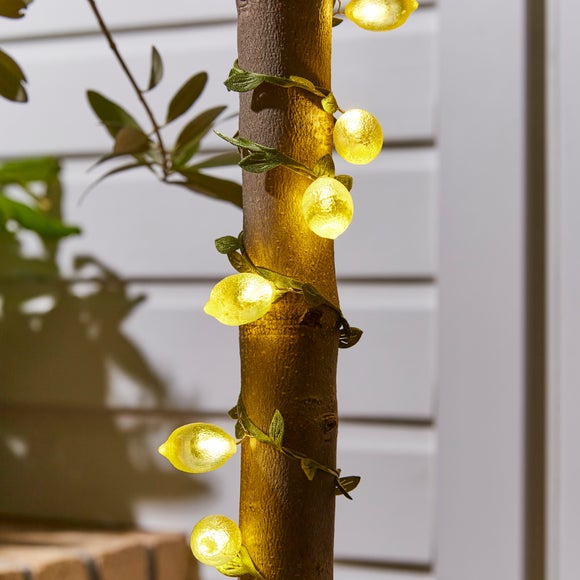 Carousel navigation image position 2 of 2