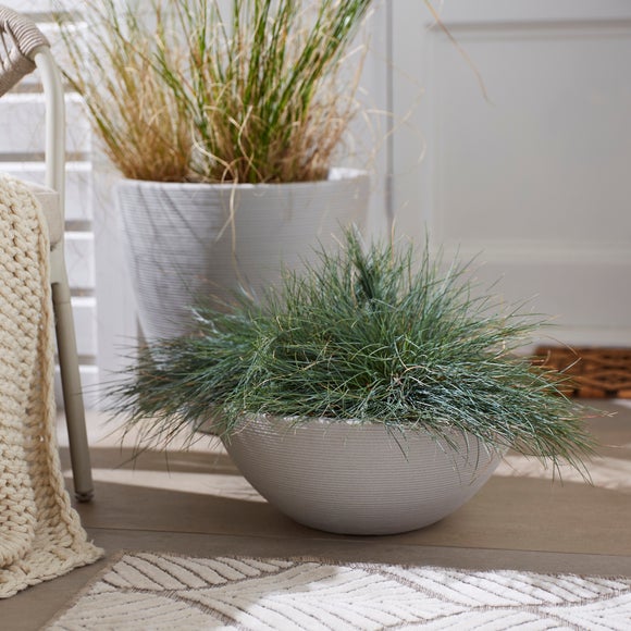 Strata Valencia Bowl Planter