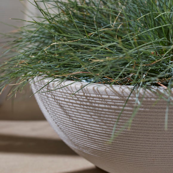 Carousel navigation image position 2 of 2