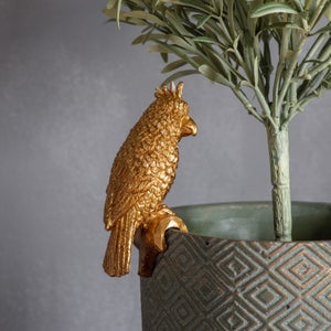 Cedar & Sage Set Of 2 Levi The Parrot Pot Hangers