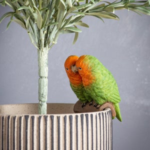 Cedar & Sage Set Of 2 Mr And Mrs Lovebird Pot Hangers