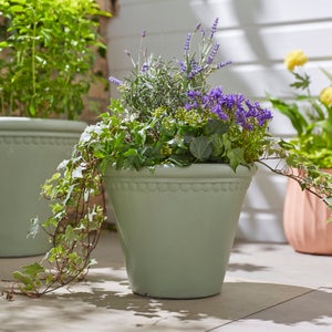 Scalloped Edge Smooth Fibre Clay Plant Pot