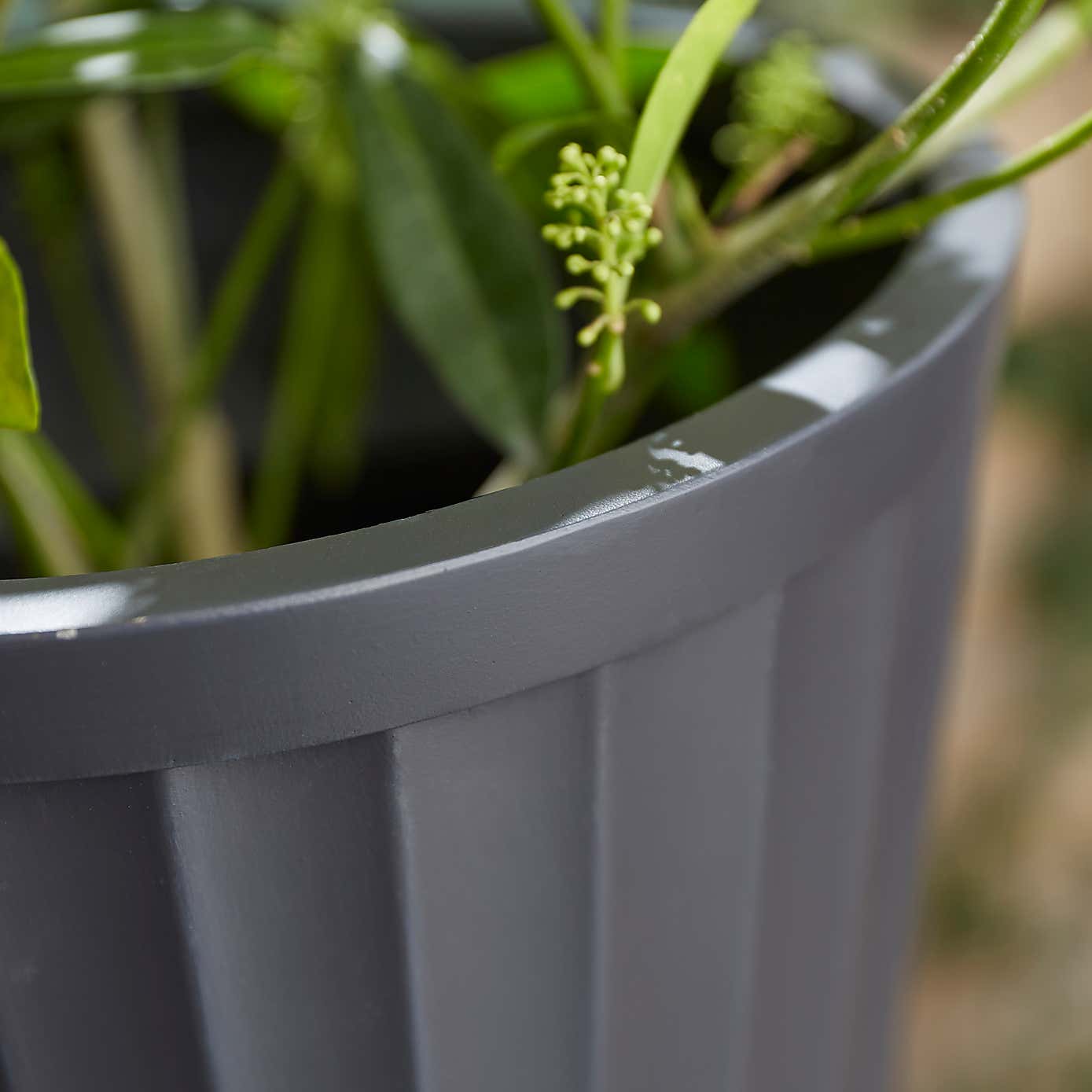 Carousel zoom image position 2 of 2