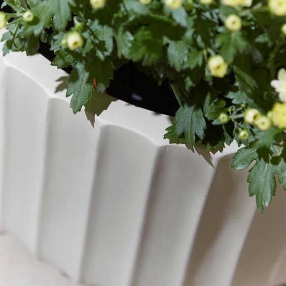 Carousel navigation image position 2 of 2