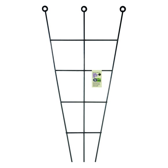 Plant Support Trellis Fan