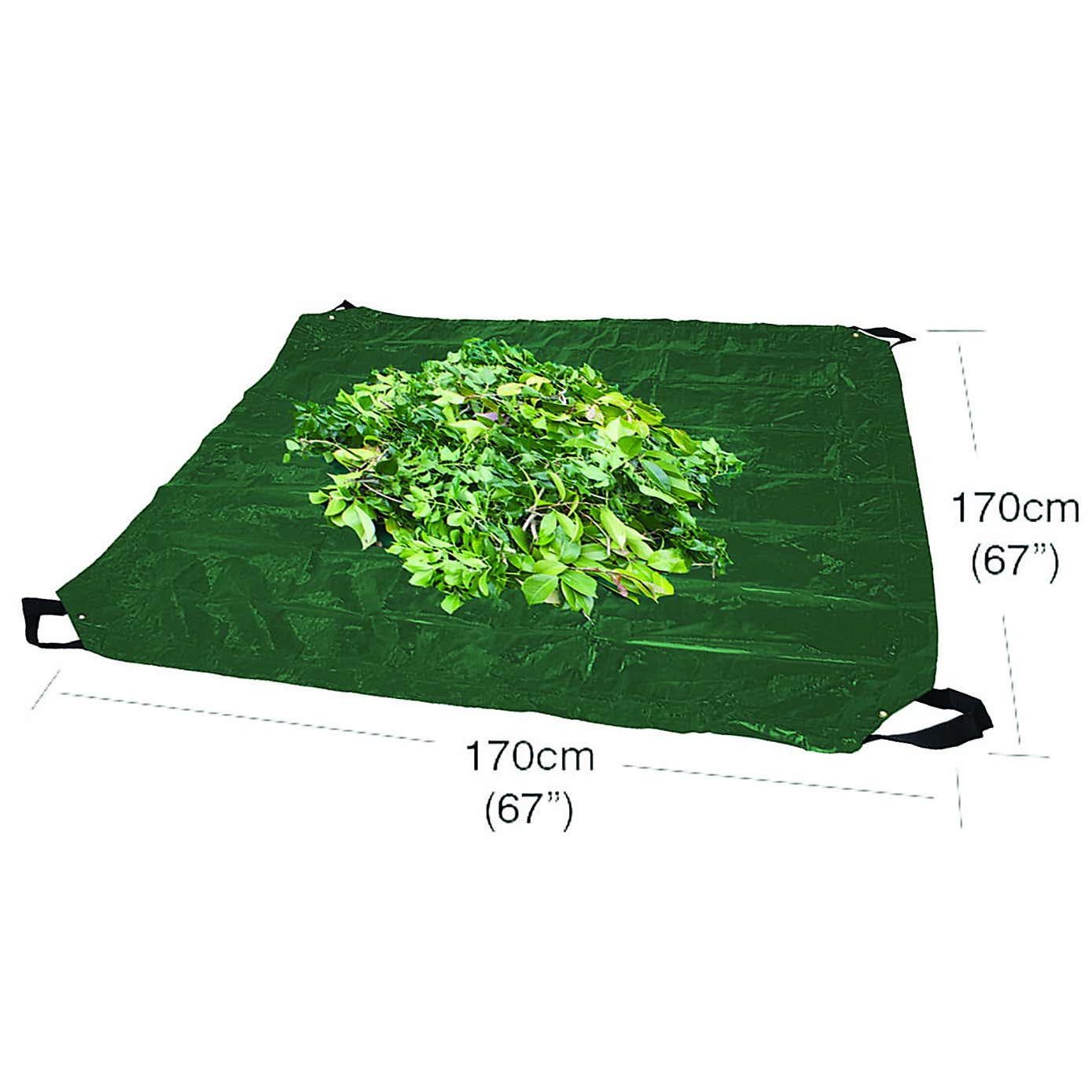 Carousel zoom image position 2 of 3