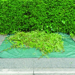 Hedge Sheet- 2m