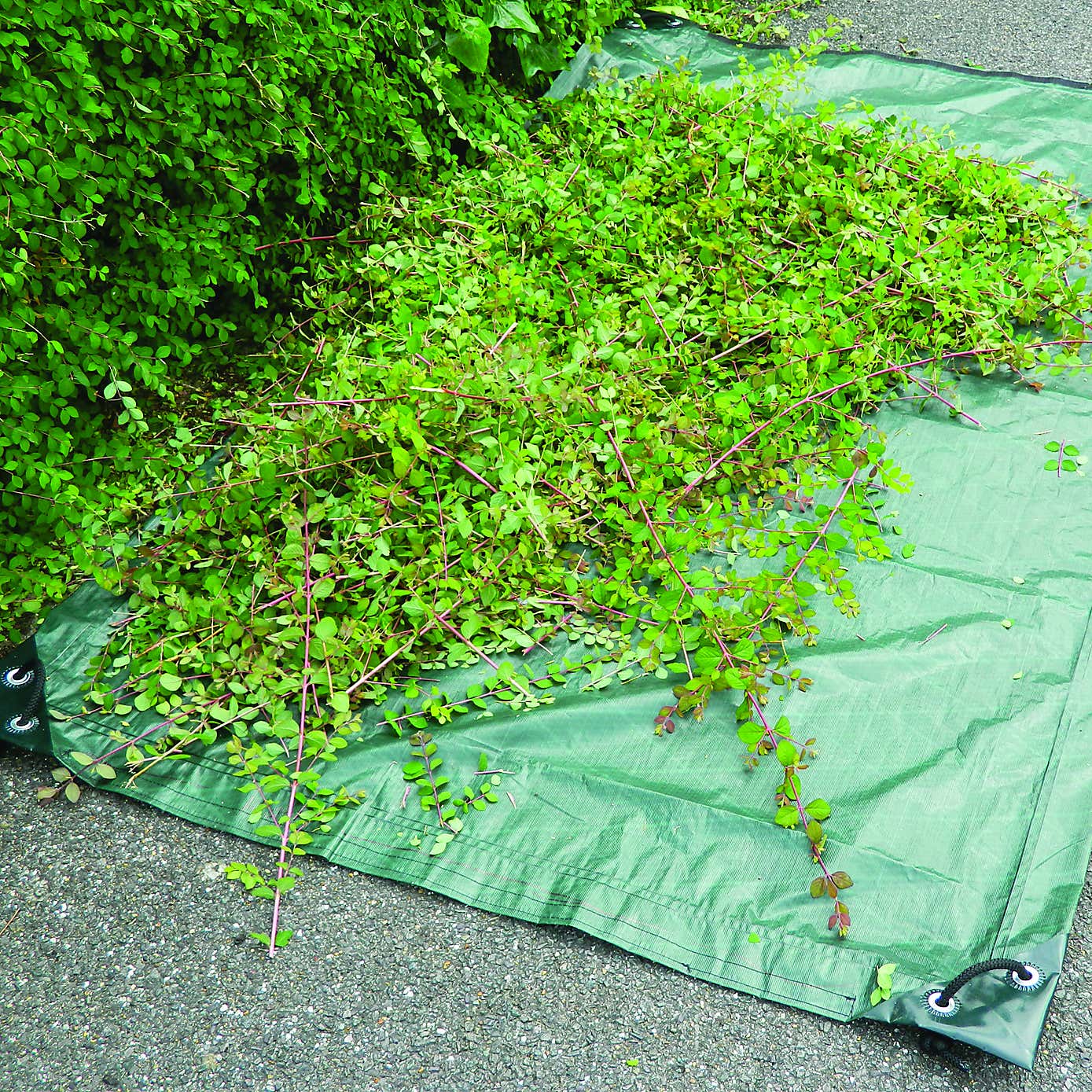 Carousel zoom image position 2 of 10