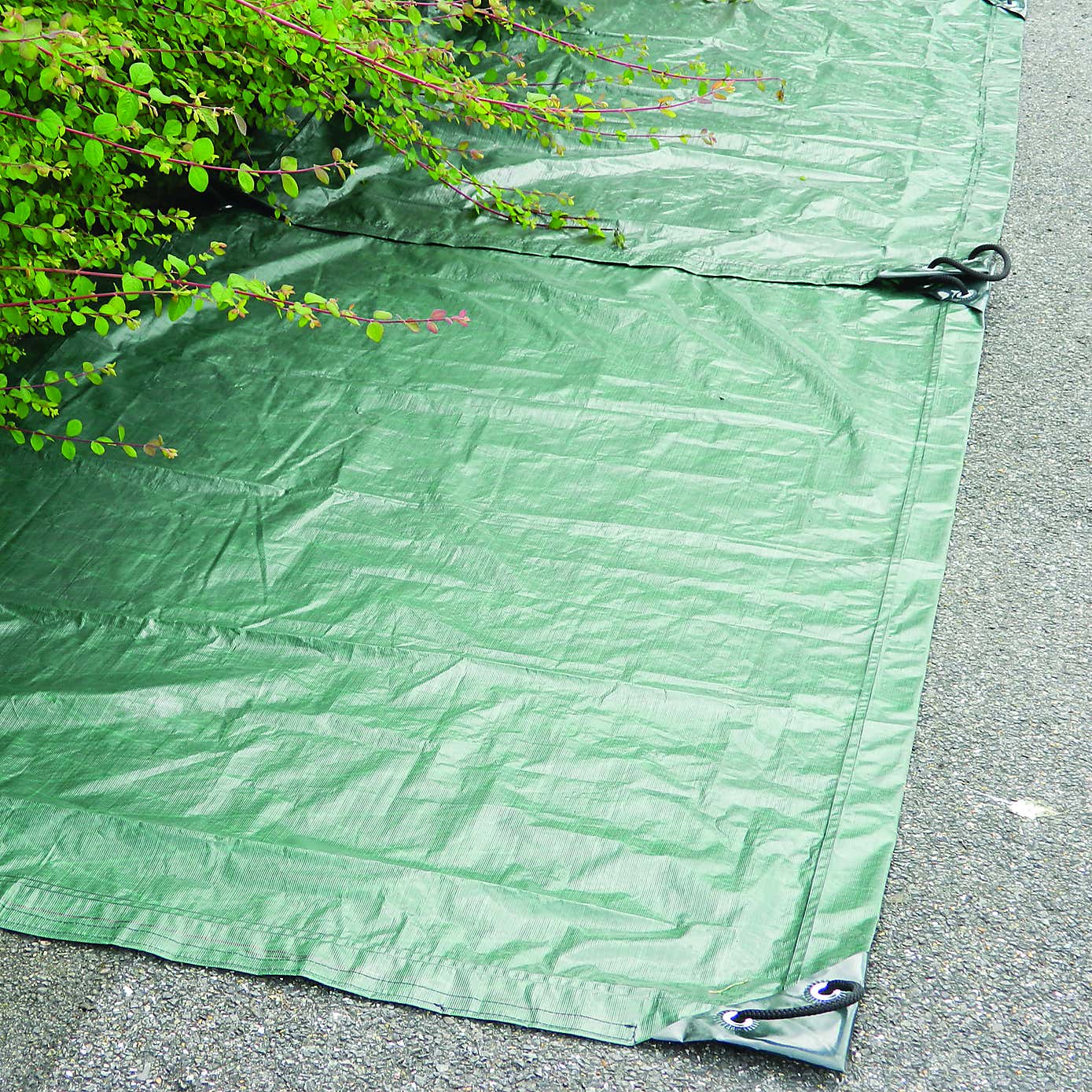 Carousel zoom image position 3 of 10