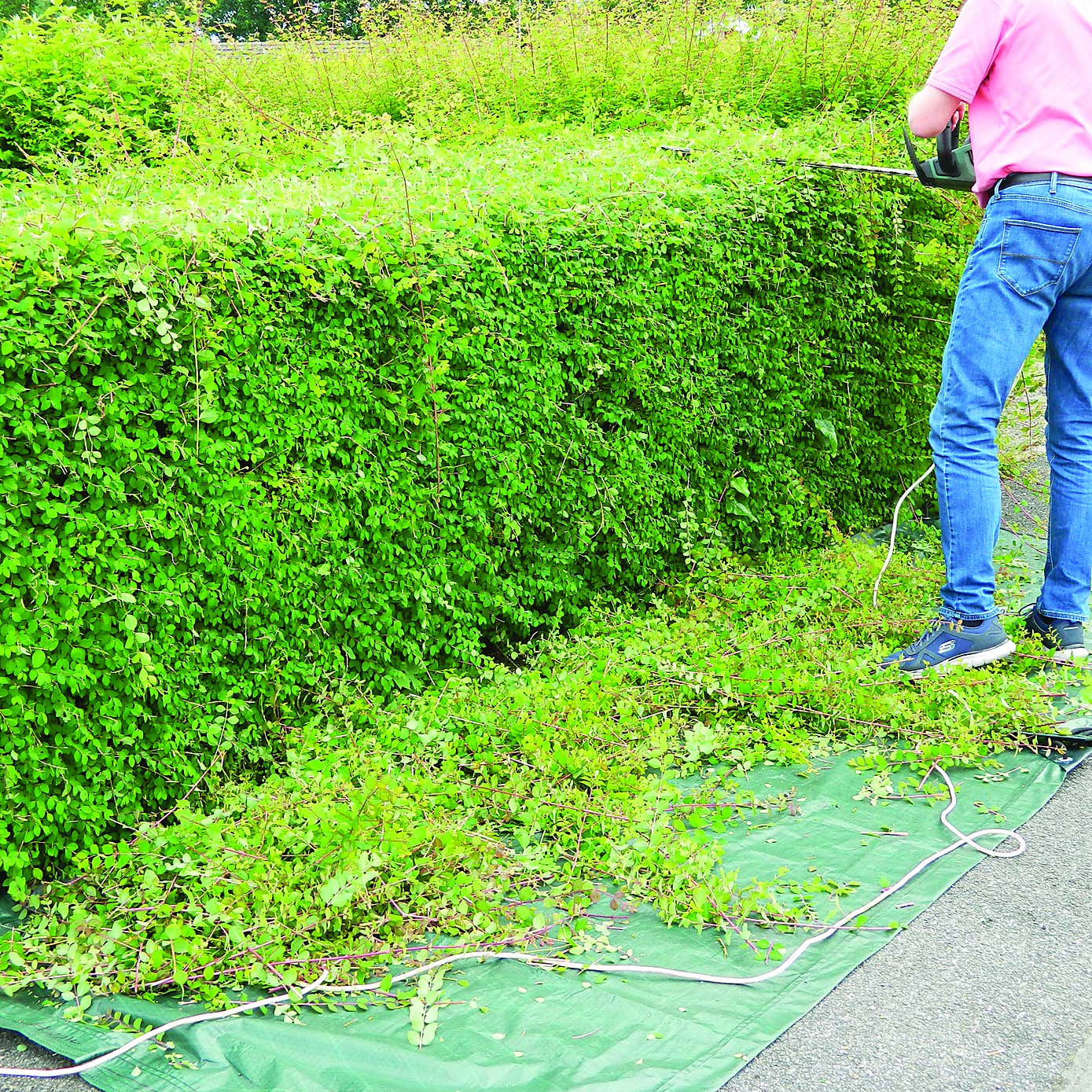 Carousel zoom image position 5 of 10