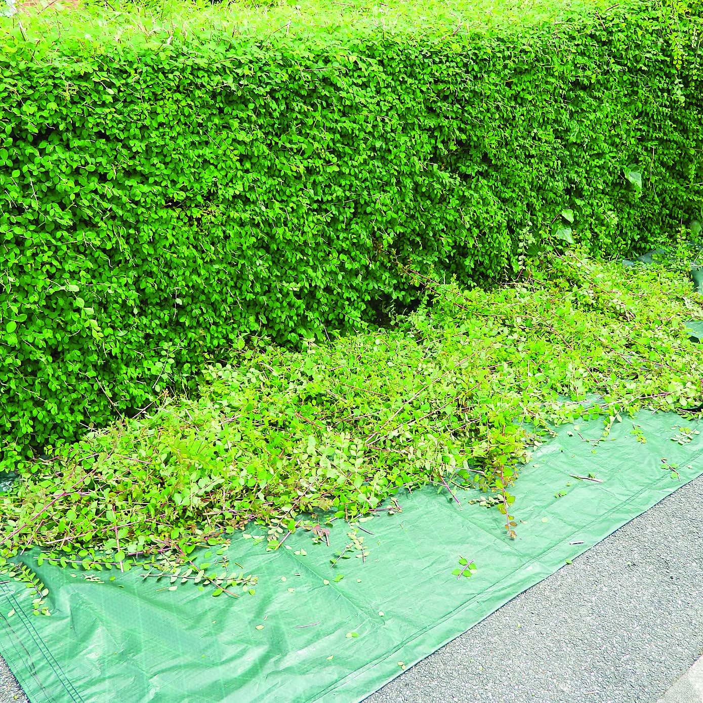 Carousel zoom image position 6 of 10