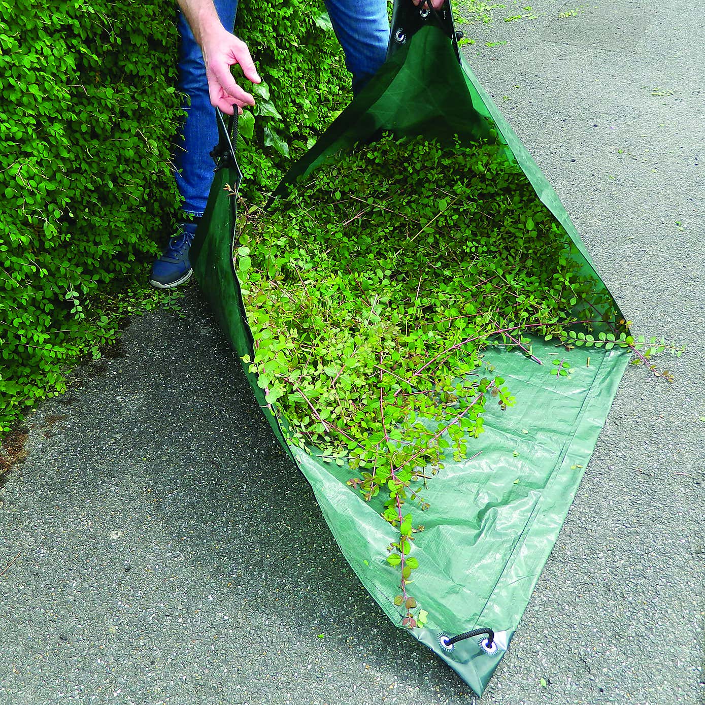 Carousel zoom image position 7 of 10