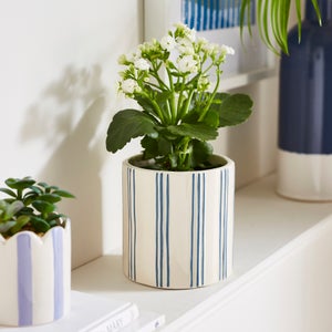 Striped Ceramic Plant Pot