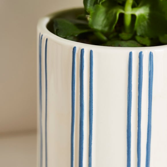 Carousel navigation image position 2 of 3