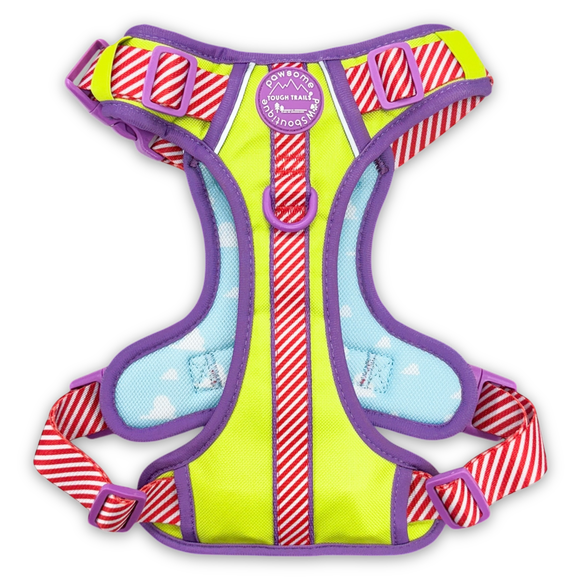 Click to view product details and reviews for Pawsome Paws Boutique Disney Toy Story Lightyear Harness.
