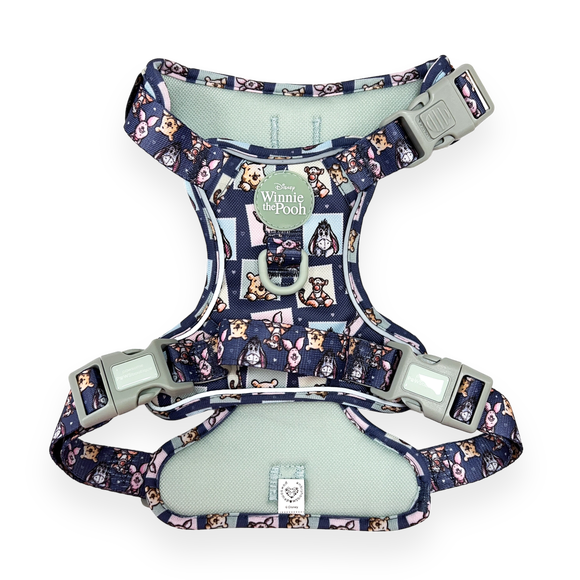 Carousel navigation image position 2 of 2