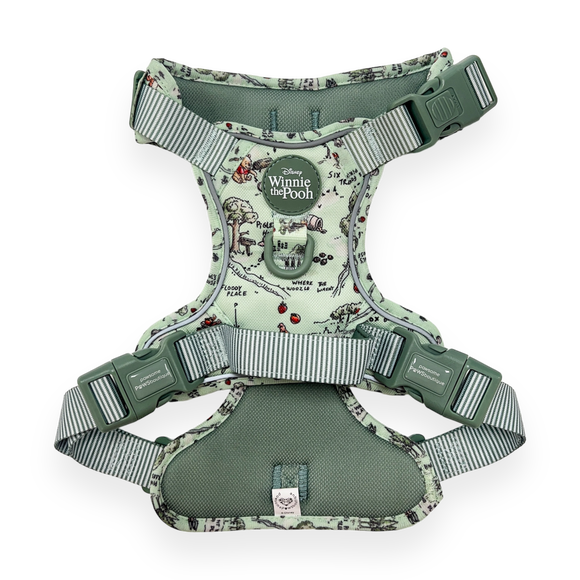 Carousel navigation image position 2 of 2