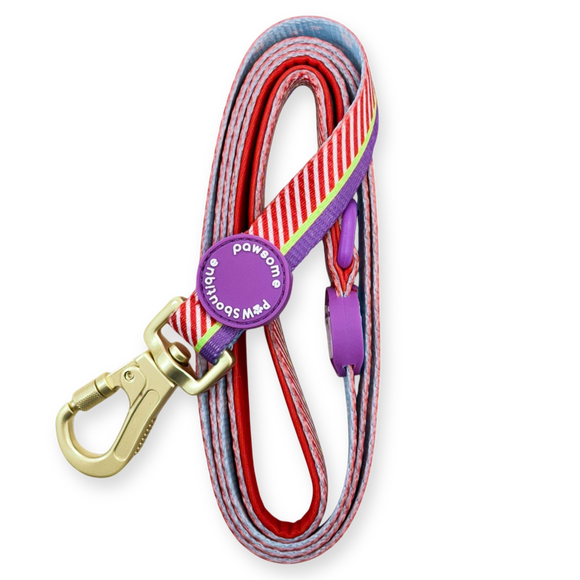 Click to view product details and reviews for Pawsome Paws Boutique Disney Buzz Lightyear Dog Lead.