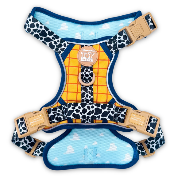 Carousel navigation image position 2 of 2