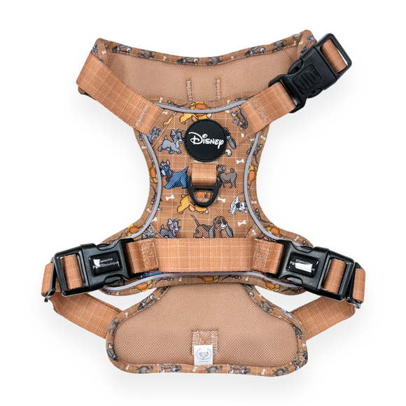 Carousel navigation image position 2 of 2