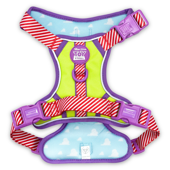 Carousel navigation image position 2 of 2