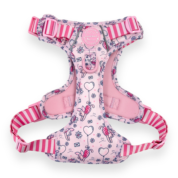 Pet collars and harnesses