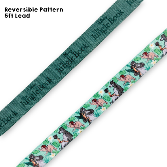 Carousel navigation image position 2 of 3