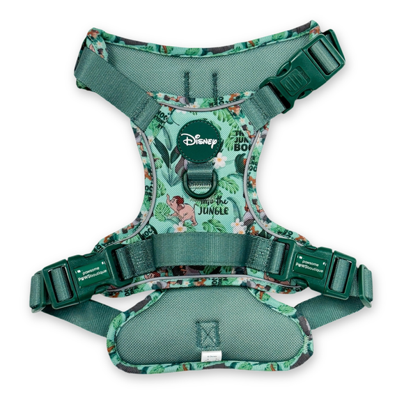 Carousel navigation image position 2 of 2