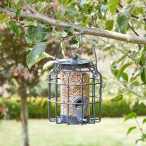 Smart Garden Compact Seed Feeder