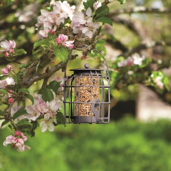 Carousel navigation image position 2 of 4