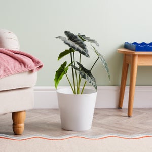 Wham Studio Pack Of 4 Round Plant Pot Covers