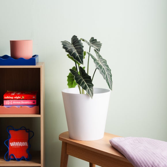 Wham Studio Pack of 4 Round Plant Pot Covers