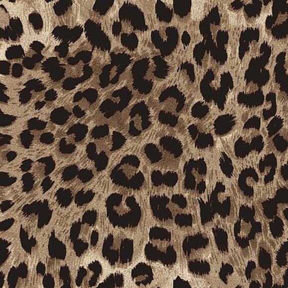 Carousel navigation image position 7 of 8