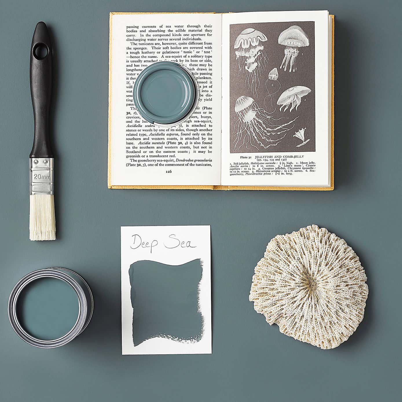 Carousel zoom image position 8 of 8