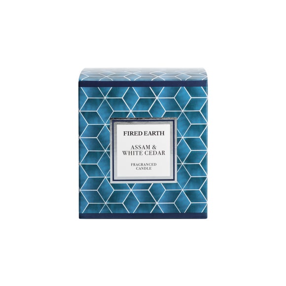 Carousel navigation image position 3 of 4