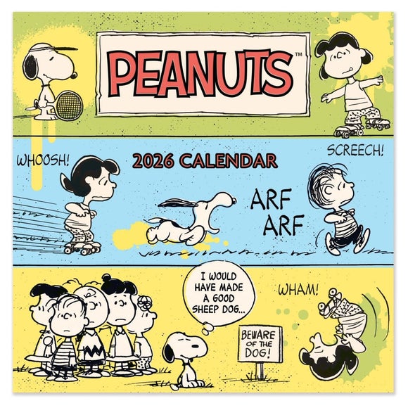 Carousel navigation image position 2 of 3