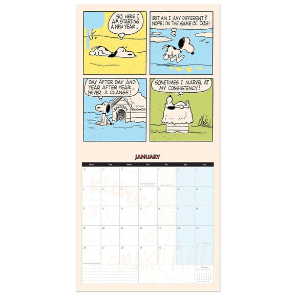 Carousel navigation image position 3 of 3