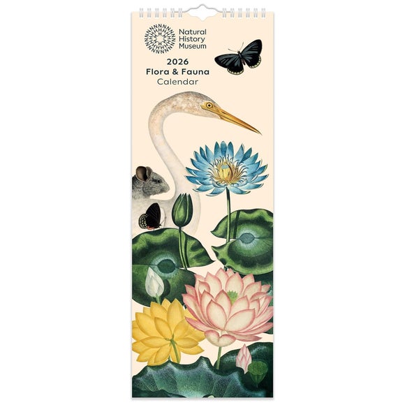 Carousel navigation image position 2 of 4