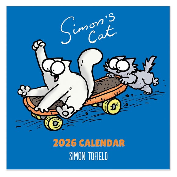 Carousel navigation image position 2 of 4