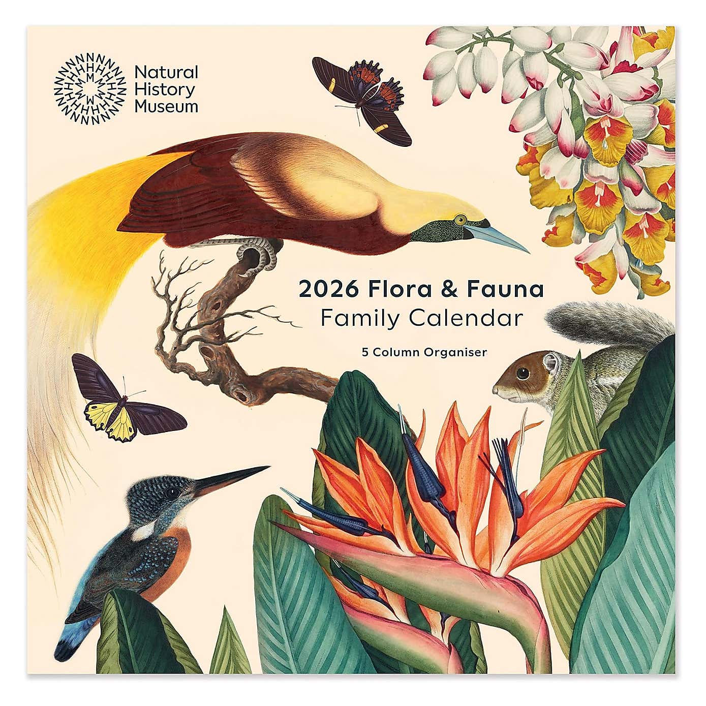 Carousel zoom image position 2 of 4