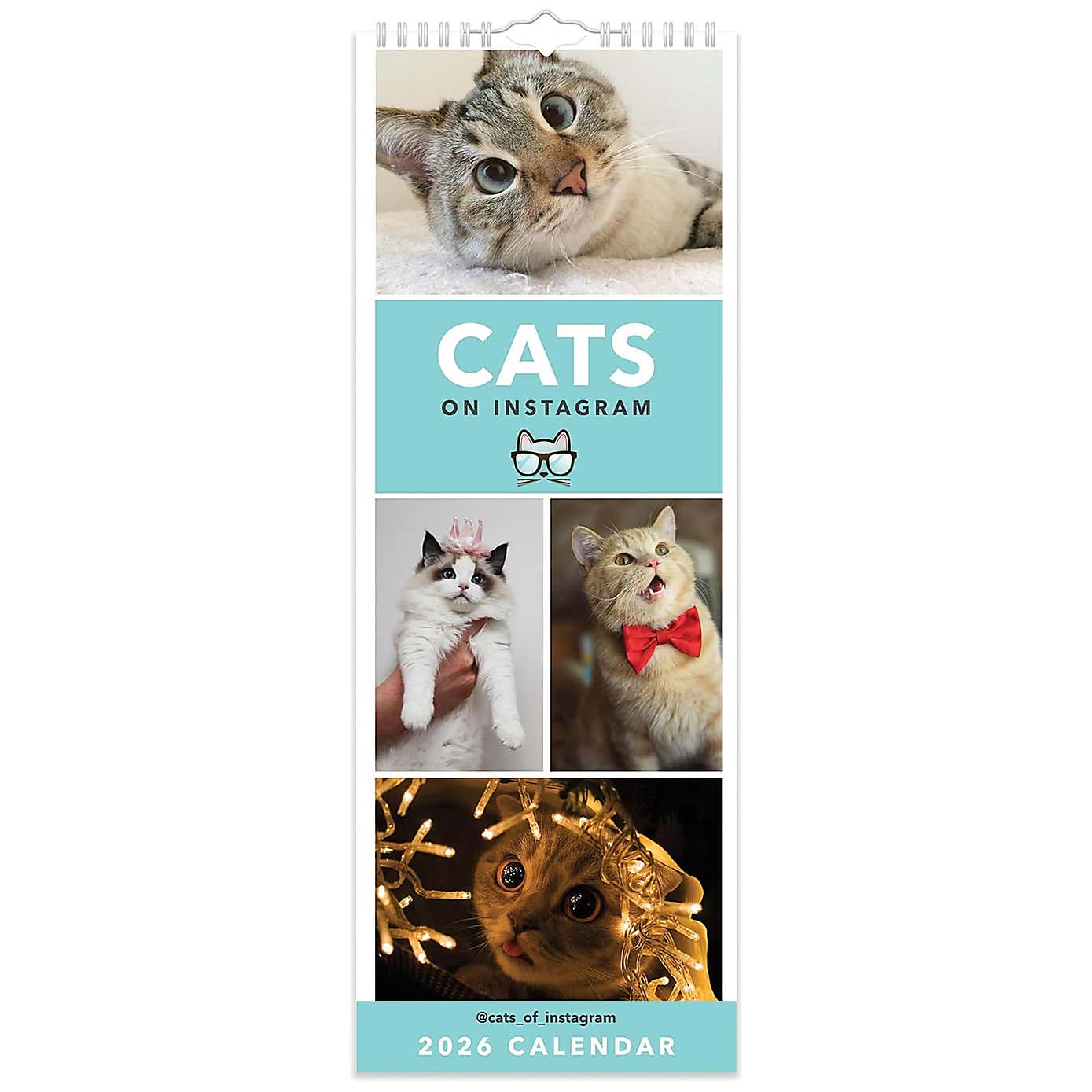 Carousel zoom image position 2 of 4