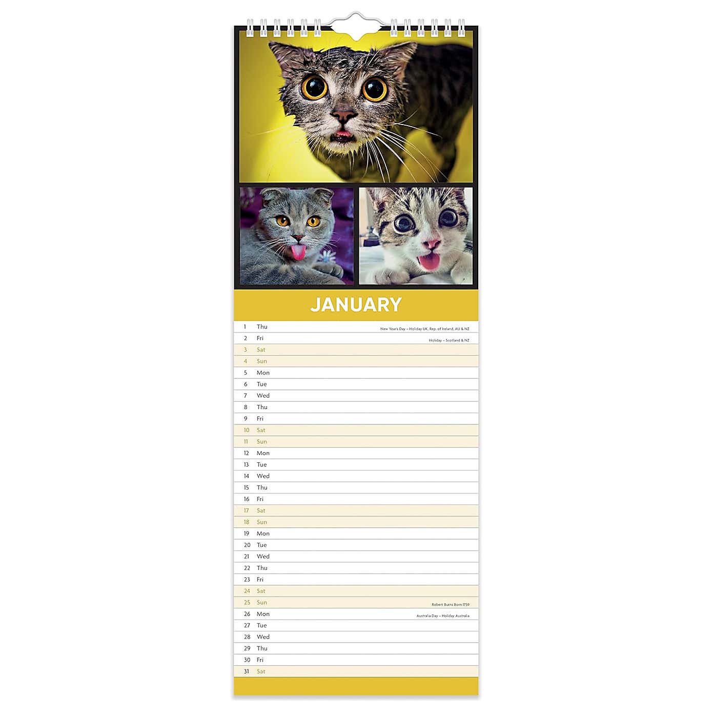 Carousel zoom image position 3 of 4