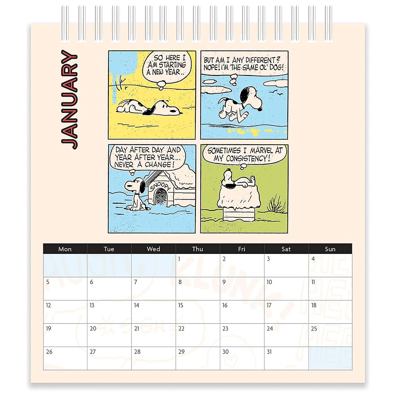 Carousel zoom image position 4 of 5