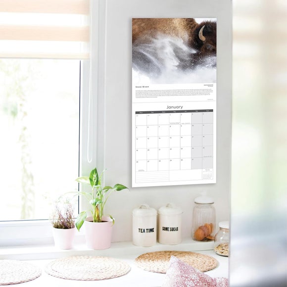 Wildlife Photographer of the Year 2026 Square Wall Calendar